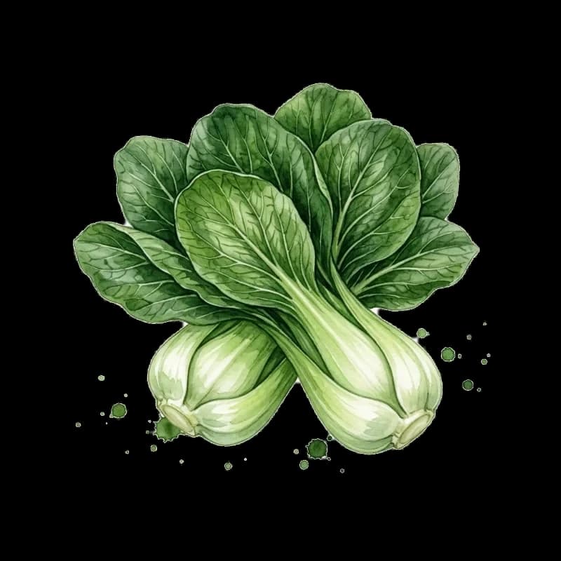 청경채