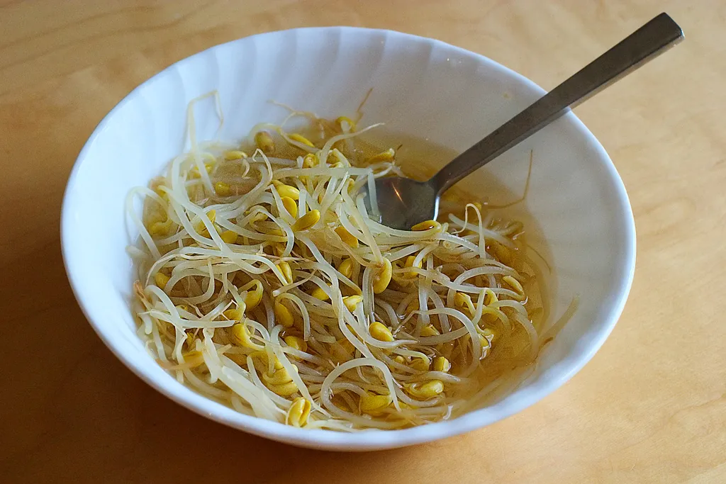 칼칼한 콩나물국